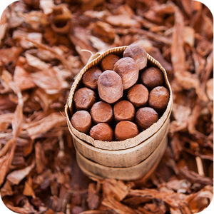 Tobacco